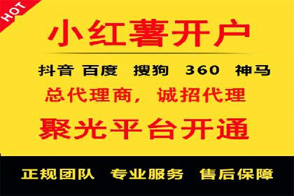专业竞价SEM托管成功案例解析